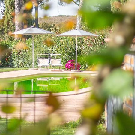 Ai Due Cedri Pension Capranica Buitenkant foto
