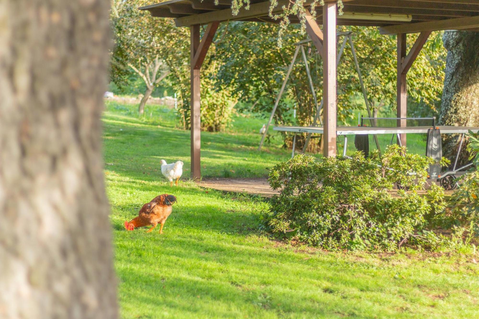 Ai Due Cedri Pension Capranica Buitenkant foto
