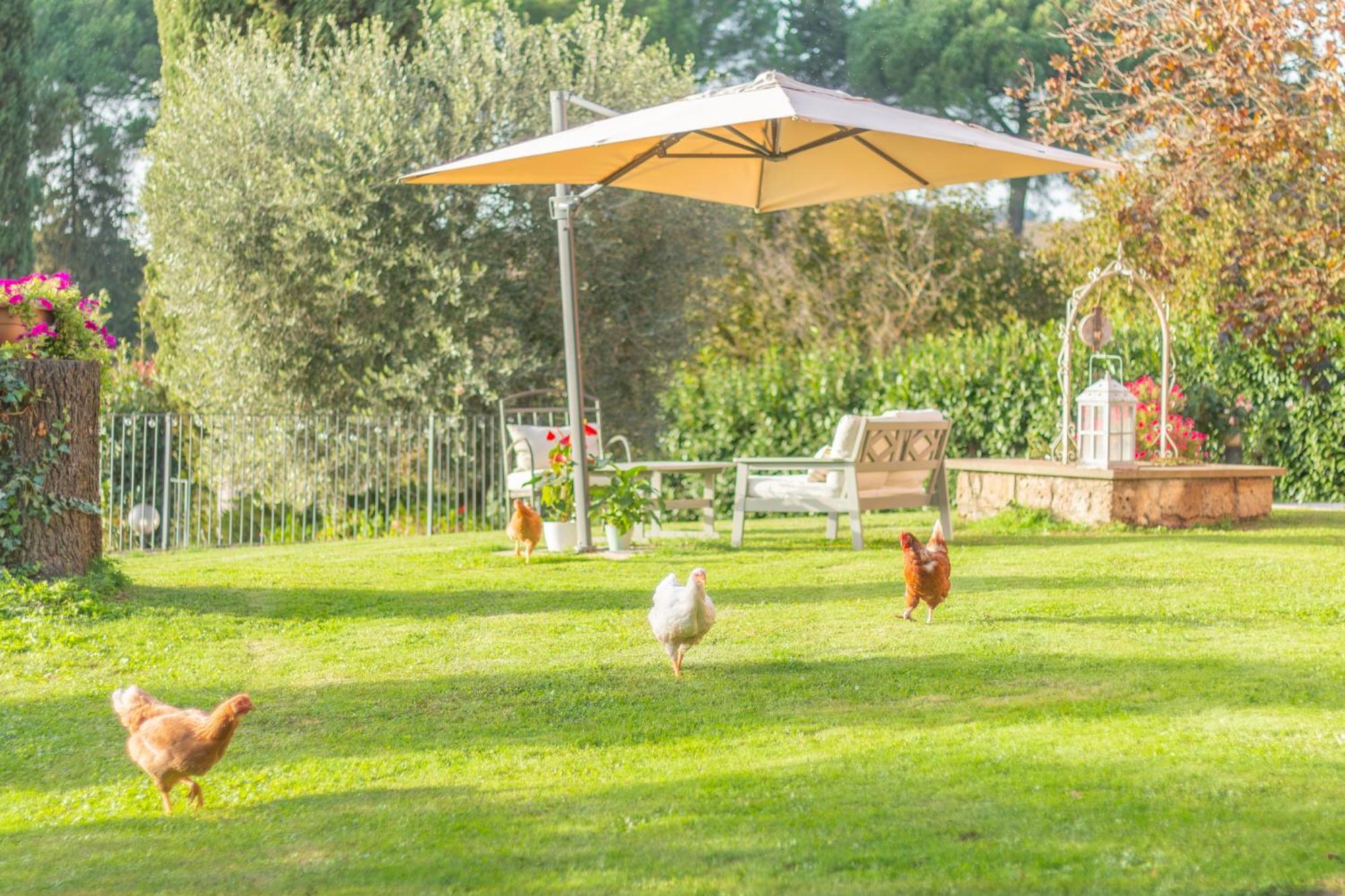 Ai Due Cedri Pension Capranica Buitenkant foto